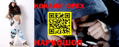крисы Гудермес