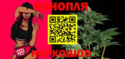 крисы Гудермес
