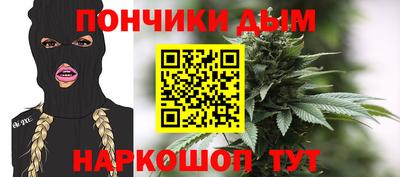 крисы Гудермес