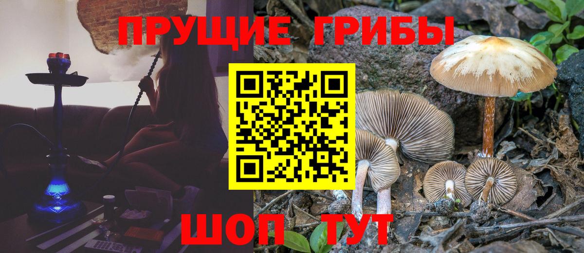 Галлюциногенные грибы MAGIC MUSHROOMS  Вход с VPN  Зеленогорск 