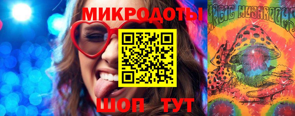 Псилоцибиновые грибы мицелий Зеленогорск